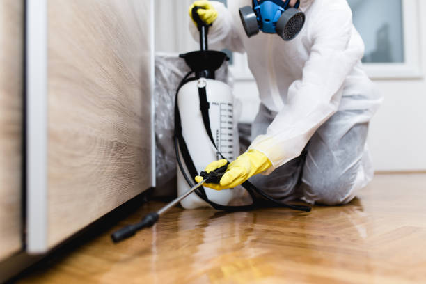 Best Ant Control Services  in Woodlake, VA