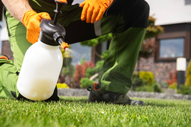 Best Affordable Pest Control Services  in Woodlake, VA
