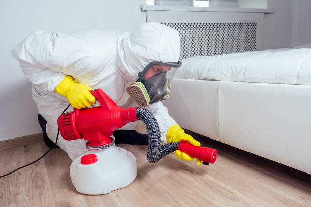 Reliable Woodlake, VA Pest Control Solutions