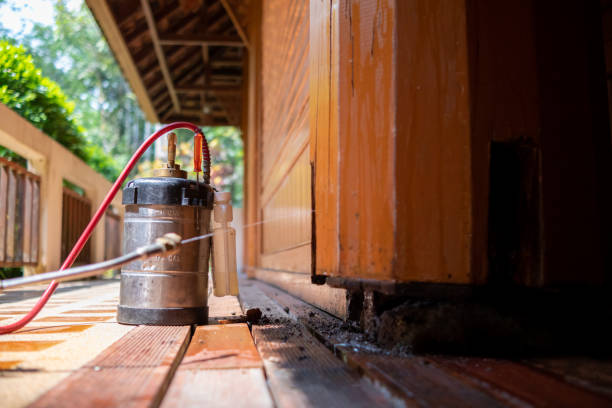 Best Cockroach Control Services  in Woodlake, VA