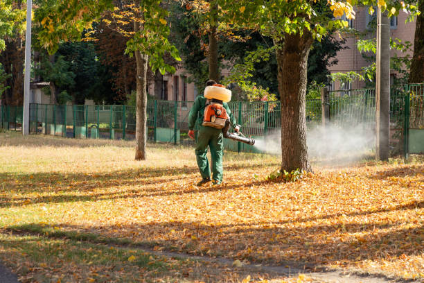 Best Bird Control  in Woodlake, VA