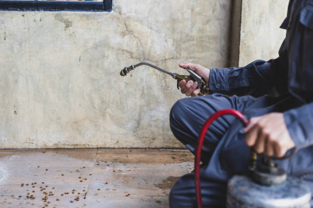 Best Pest Prevention Services  in Woodlake, VA